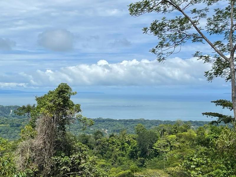 Land For Sale in Uvita Costa Rica